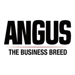 American Angus Association